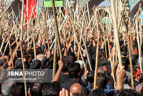 آیین قالیشویان در مشهد اردهال برگزار نمی‌شود