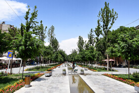 درخت بانی به‌جای درختکاری در اصفهان