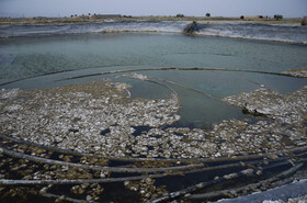 آبگیری استخر زمین کشاورزی پس از 9 ماه باعث شده تمامی لجن ها و شوره های مانده در استخر به سطح آب بیایند