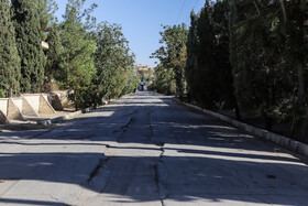 از زمانی که جریان دائمی زاینده رود قطع شد و با فشار به آبخوان اصفهان-برخوار همچنان از آن برداشت آب کردیم، این بلا بر سر اصفهان آمد و این شهرک نمونه کوچکی از پیشروی فرونشست زمین در بافت مسکونی اصفهان است و در آینده همانند وضعیت این شهرک را در بسیاری از خیابان های اصفهان شاهد خواهیم بود که دیگر خانه ها قابل سکونت نخواهد بود.