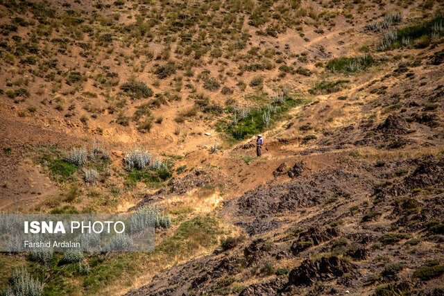 ساکنان این روستا با چهارپایان خود را به جاده اصلی میرسانند ساکنان این روستا با چهارپایان خود را به جاده اصلی میرسانند