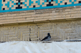 اثرات فرونشست در در طاق های بیرونی بازارهای میدان نقش جهان اصفهان