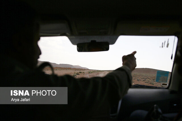 سُمدارانِ شاخص "کلاه قاضی" اصفهان آخر پاییز شمرده شدند