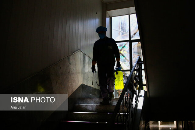 تماشای رو در روی مرگ