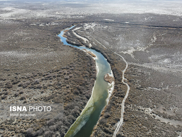 سرِ بیکلاه گاوخونی از یک دهه رهاسازی زایندهرود
