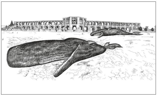 نهنگ‌ها در شهر