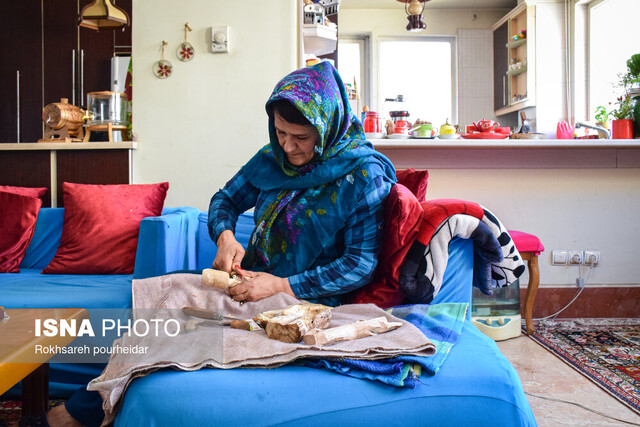 صدور ۱۹۰۶ مجوز مشاغل خانگی در استان مرکزی