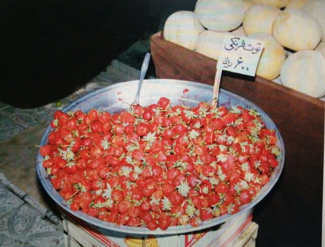 ما برای وطن هستیم و وطن برای ماست