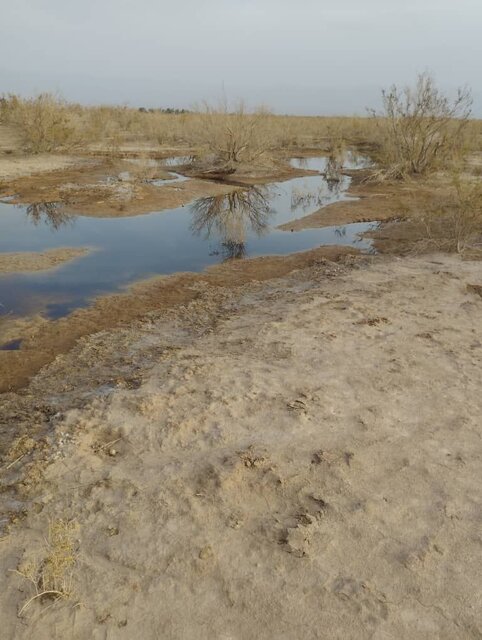 پسابهایی که بلای جان طبیعت میشود