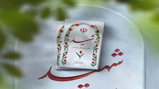 عکس تزیینی است شهادت یک مرزبان در میرجاوه سیستان و بلوچستان