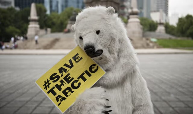 حیات خرسهای قطبی در معرض خطر است!