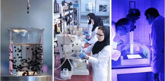 نام اعضای هیئت علمی دانشگاه صنعتی اصفهان در فهرست پژوهشگران پراستناد دنیا