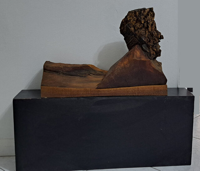 آب و کویر در نمایشگاه «آب کو...؟»