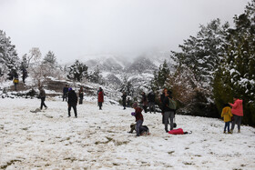 خوشحالی مردم اصفهان پس از بارش اولین برف زمستانی در پارک کوهستانی صفه