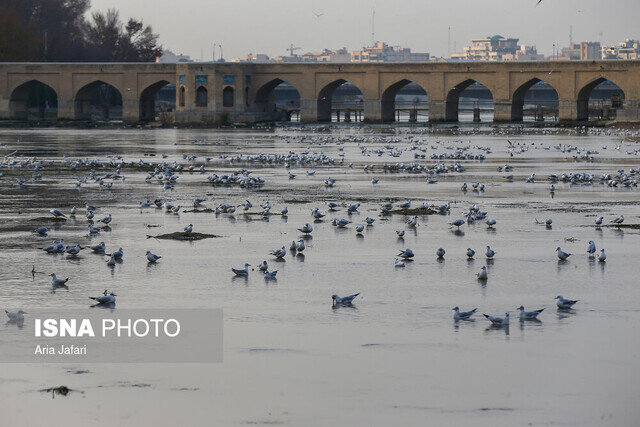 زایندهرود، منبع الهام هنرمندان زایندهرود، منبع الهام هنرمندان