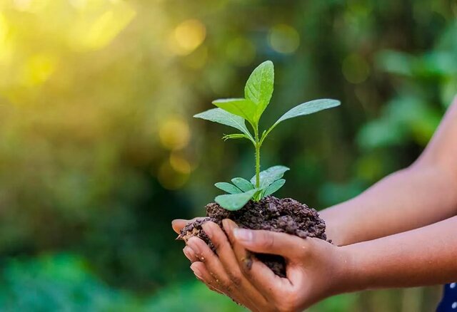 «زمین ما، آینده ما»؛ شعار روز جهانی محیطزیست «زمین ما، آینده ما»؛ شعار روز جهانی محیطزیست