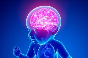 میان مغز نوزاد و هوش مصنوعی شباهت‌هایی کشف شد