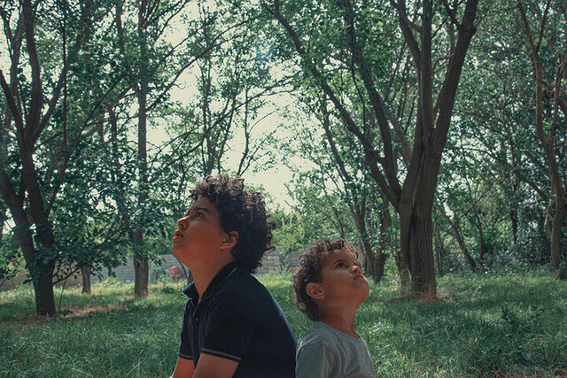 «در آغوش درخت»؛ فیلمی برای حفظ خانواده «در آغوش درخت»؛ فیلمی برای حفظ خانواده