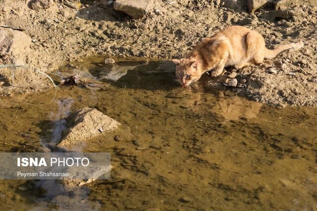 به تماشای شاهرگ اصفهان