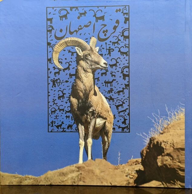 قوچ اصفهان؛ نمادی آسیبپذیر در دشت غفلت