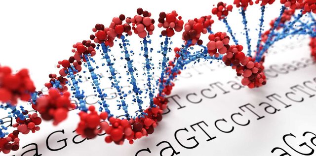 جهشهای DNA و بروز بیماریهای ژنتیکی