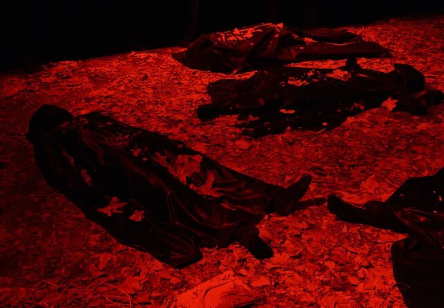 «قلبخوار»؛ روایت قلبی که بیجان میشود