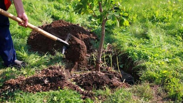 چکش دانش‌بنیان بر بستر ریشه‌ها