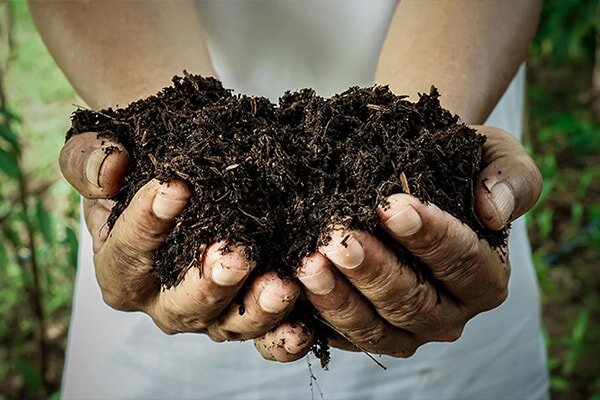 چکش دانشبنیان بر بستر ریشهها