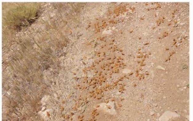 طوفان، رگبار شدید و صاعقه در راه چند شهرستان اصفهان