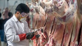 دام را در مکان‌های عمومی ذبح نکنید/انجام نظارت‌های بهداشتی و شرعی ذبح دام در تاسوعا و عاشورا