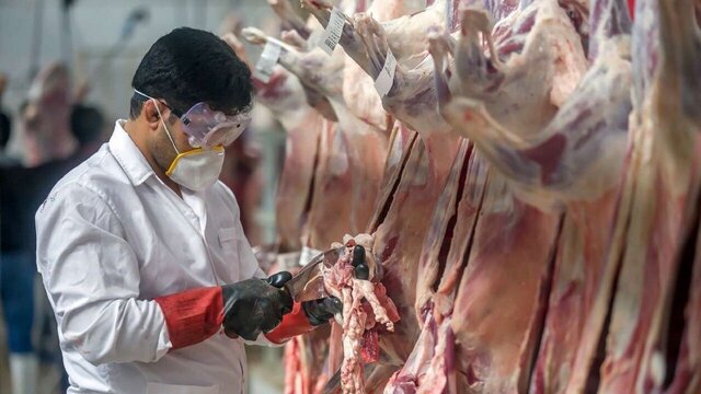 دام را در مکان‌های عمومی ذبح نکنید/انجام نظارت‌های بهداشتی و شرعی ذبح دام در تاسوعا و عاشورا