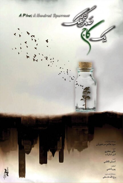 مستند اصفهانی «یک کاج، صد گنجشک» در آمریکا درخشید