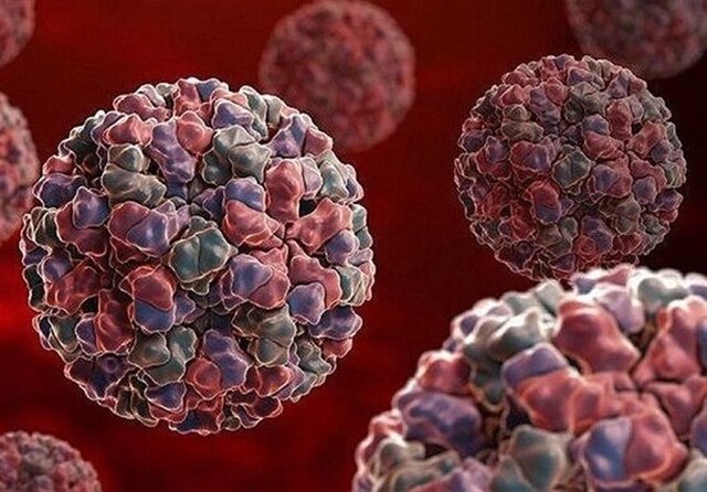 بیماریهای عفونی در فصل گرما؛ از پیشگیری تا درمان