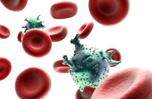 بیماریهای عفونی در فصل گرما؛ از پیشگیری تا درمان