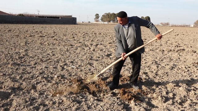 کشاورزی شرق اصفهان اصلاح الگوی کشت و مدیریت هوشمندانه آب جدی گرفته شود/ کاهش ۶۹ درصدی بارندگی در شرق اصفهان
