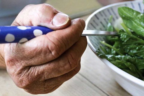 چالش‌های پنهان سفره سالمندان؛ از کم‌آبی تا سوءتغذیه