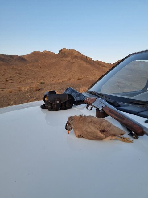 دستگیری متخلف شکار و صید غیرمجاز تیهو وحشی در اردستان