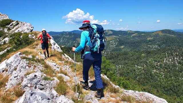 اکوتراپی؛ درمانی سبز برای آرامش روان و بدن
