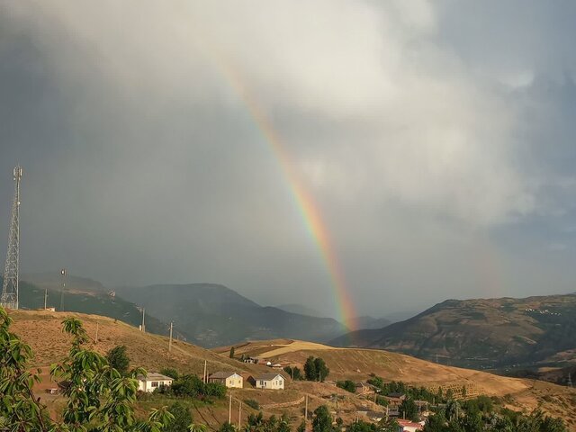 اکوتراپی؛ درمانی سبز برای آرامش روان و بدن