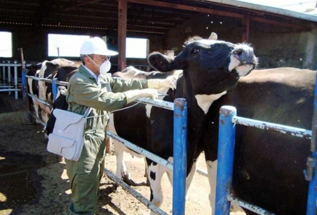 مدیرکل دامپزشکی اصفهان: قدرت سرایت تب برفکی ۵ برابر کرونا است مدیرکل دامپزشکی اصفهان: قدرت سرایت تب برفکی ۵ برابر کرونا است