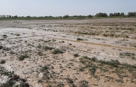 خسارت ۲۰۰ میلیاردی بارش های اخیر در کهنوج