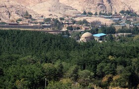 دادستان کرمان: اجازه تعرض به جنگل ها و منابع طبیعی و محیط زیست را نخواهیم داد