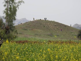 فصل جدیدی ازهمکاری های اداره کل میراث فرهنگی کرمان با پژوهشگاه میراث فرهنگی کشور