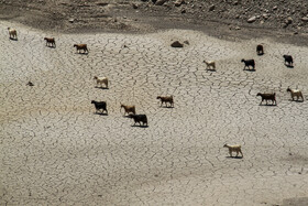 سفر وزیر نیرو به کرمان 6