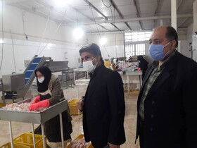 اخطار و احضار یک واحد صنعتی بسته بندی آلایش های دامی در رفسنجان