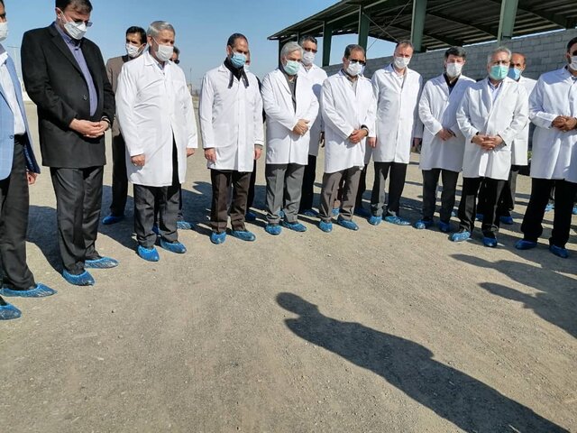 اعضای کمیسیون کشاورزی مجلس از چند طرح در قلعه گنج بازدید کردند