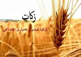 باید فرهنگ پرداخت زکات در جامعه نهادینه شود