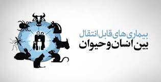 ۷۵ درصد بیماری های نوپدید جزو بیماری های قابل انتقال از دام به انسان هستند