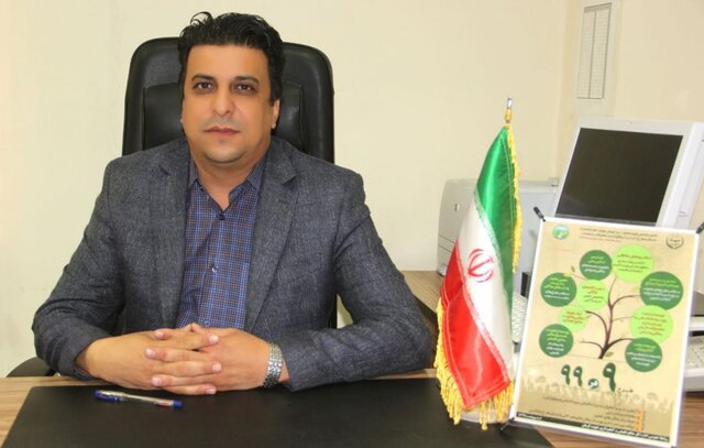 روربار جنوب پایلوت اجرای طرح بادشکن بیولوژیک اطراف مزارع