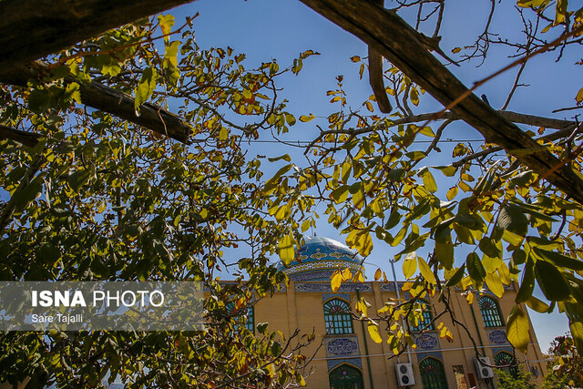 پاییز در قنات ملک زادگاه سپهبد شهید حاج قاسم سلیمانی-کرمان